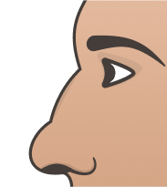 Bulbous Nose