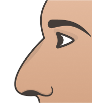 Fleshy Nose