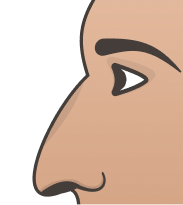 Hawk Nose