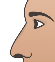 Nubian Nose