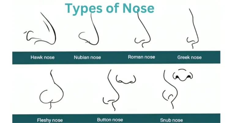 Types of Nose with Variations by Races in different Continent